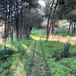 Quinta Vale Da Paz Villa *