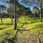 Quinta Vale Da Paz Azambuja
