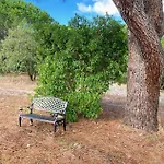 Quinta Vale Da Paz * Azambuja
