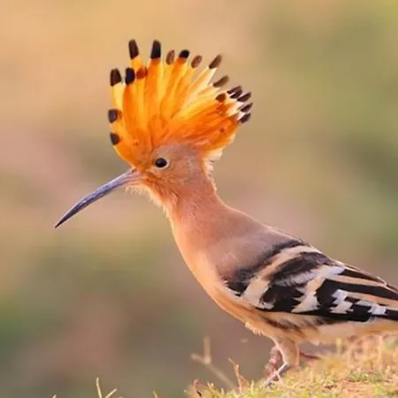 Villa Quinta Vale Da Paz Azambuja