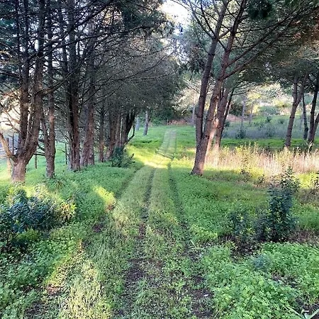Quinta Vale Da Paz Villa *