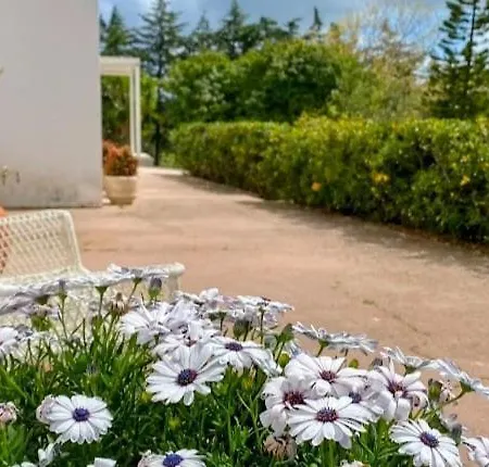 Quinta Vale Da Paz Villa Azambuja