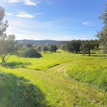 Quinta Vale Da Paz