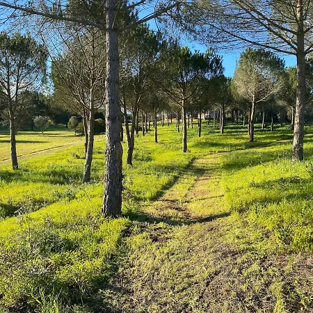 Quinta Vale Da Paz Азамбужа