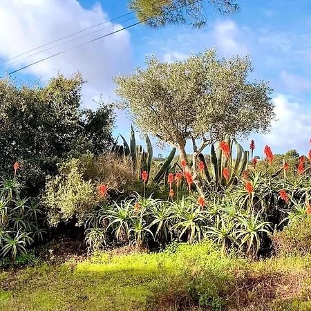 别墅 Quinta Vale Da Paz 阿赞布雅