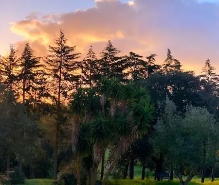 Quinta Vale Da Paz * Azambuja