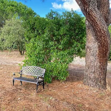 Quinta Vale Da Paz * Azambuja