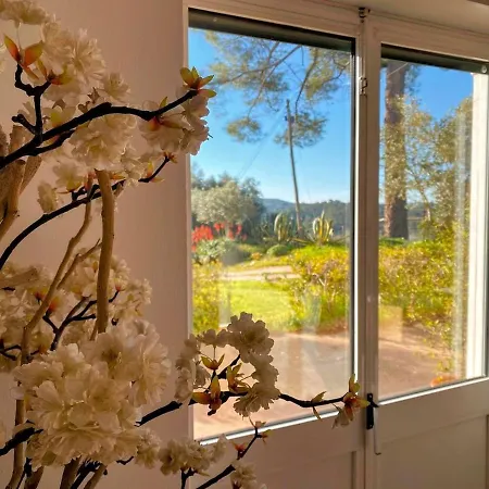 Quinta Vale Da Paz
