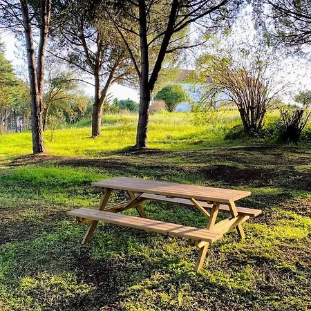 Quinta Vale Da Paz Villa *