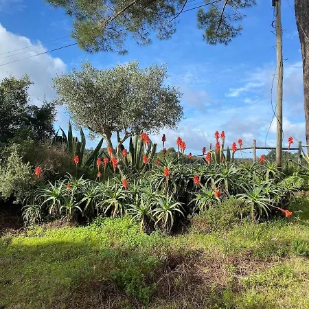 ヴィラ Quinta Vale Da Paz *