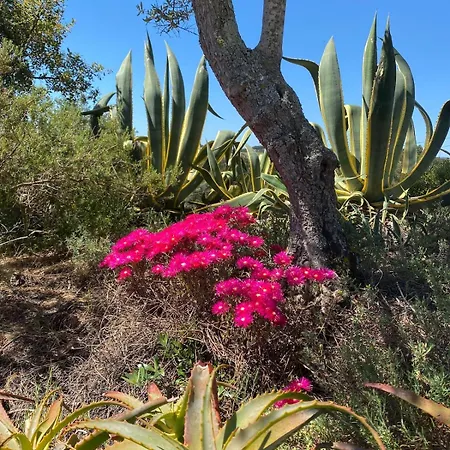 Вилла Quinta Vale Da Paz