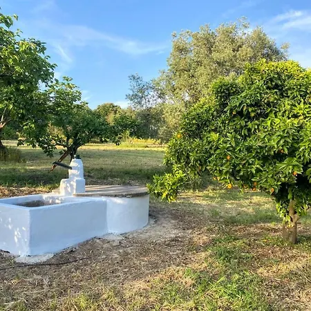 Вилла Quinta Vale Da Paz Азамбужа