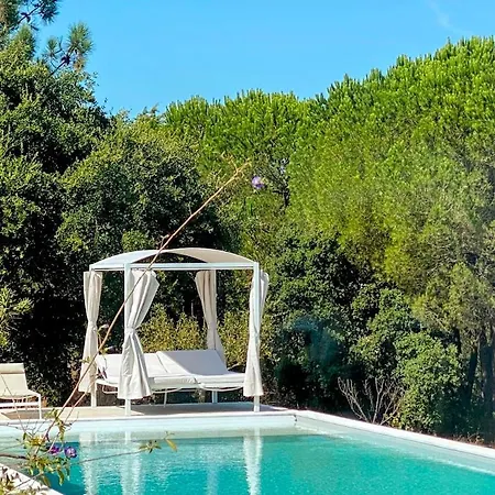 Quinta Vale Da Paz