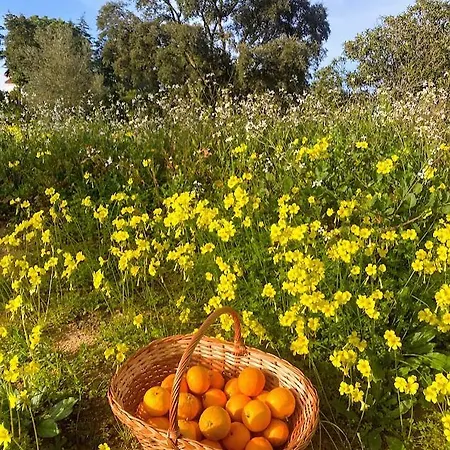 Quinta Vale Da Paz *