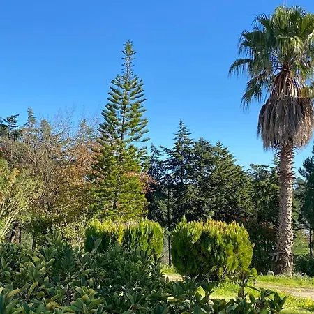 Quinta Vale Da Paz Villa Azambuja