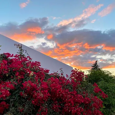 Вилла Quinta Vale Da Paz