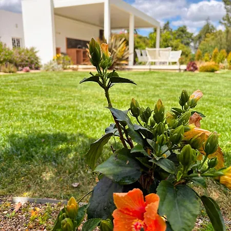 Quinta Vale Da Paz Βίλα