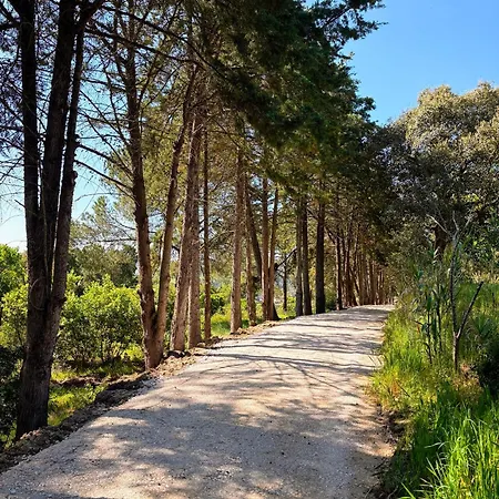 Βίλα Quinta Vale Da Paz *