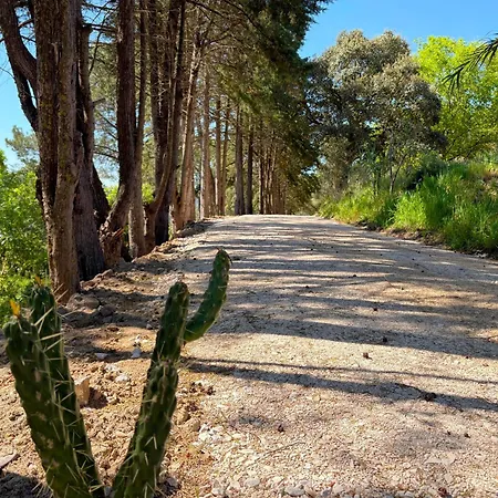 Quinta Vale Da Paz *