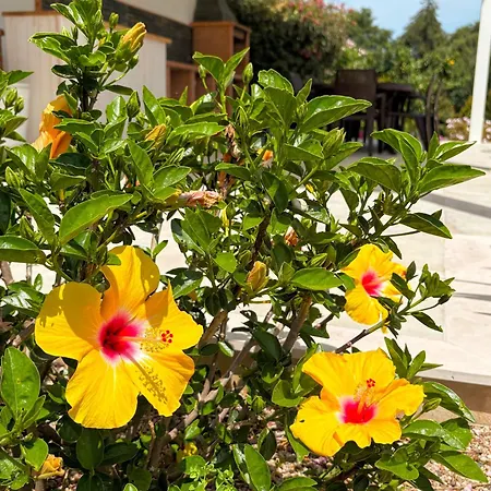 Quinta Vale Da Paz Βίλα Azambuja