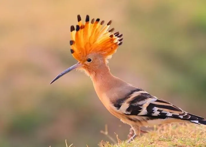 Βίλα Quinta Vale Da Paz Azambuja