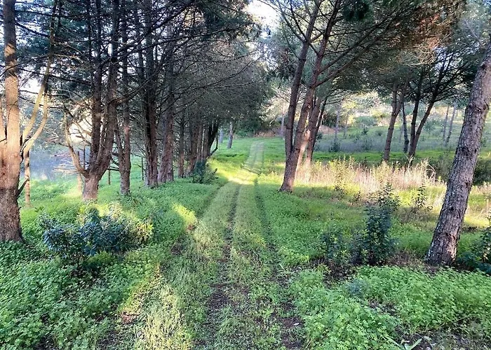 Quinta Vale Da Paz Βίλα *