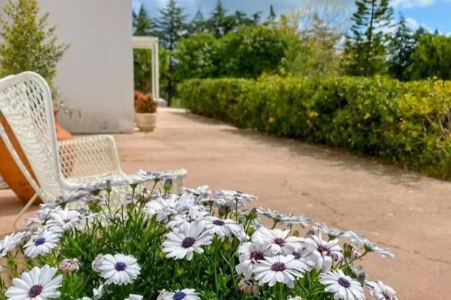 Quinta Vale Da Paz Βίλα Azambuja