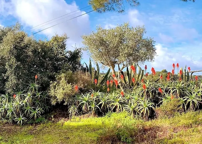 Βίλα Quinta Vale Da Paz Azambuja