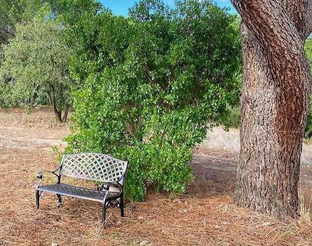 Quinta Vale Da Paz * Azambuja