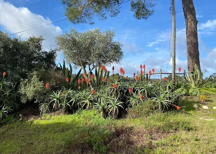 Βίλα Quinta Vale Da Paz *