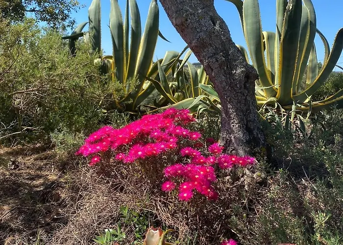 Βίλα Quinta Vale Da Paz