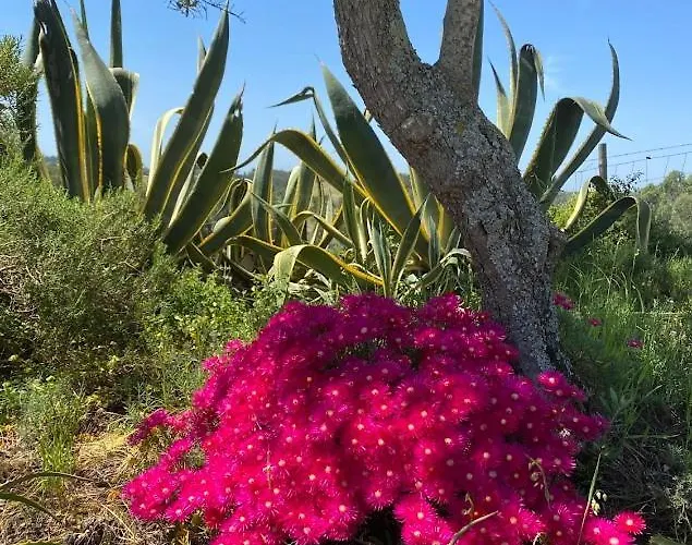 Quinta Vale Da Paz Βίλα *