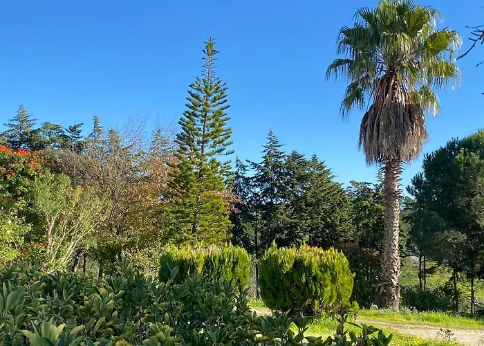 Quinta Vale Da Paz Βίλα Azambuja